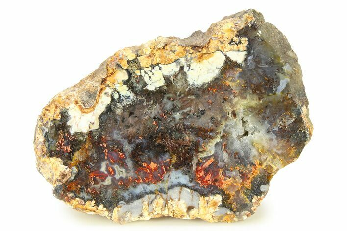 Polished Trent Agate With Stibnite & Realgar - Oregon #299276